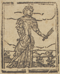 31150-10.jpg