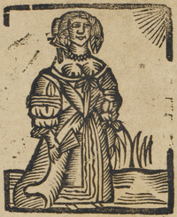 31153-10.jpg