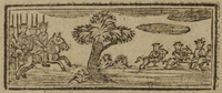 31185-10.jpg