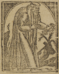 31194-20.jpg
