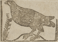 31200-20.jpg