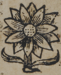 31224-30.jpg