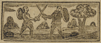 31229-10.jpg