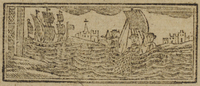 31229-20.jpg