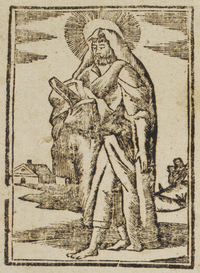 31253-10.jpg