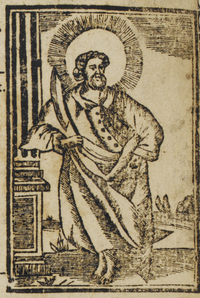 31253-20.jpg