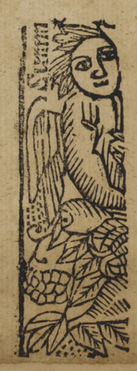 31255-30.jpg