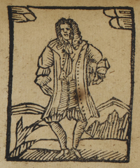 31255-50.jpg