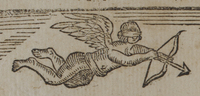 31273-20.jpg