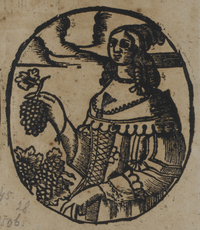31276-20.jpg