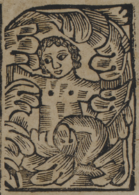 31356-40.jpg
