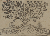 31363-10.jpg