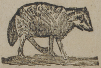 31372-10.jpg