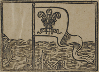 31384-20.jpg