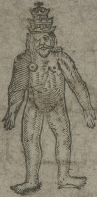 31394-20.jpg