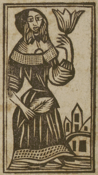 31411-20.jpg