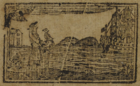31462-10.jpg