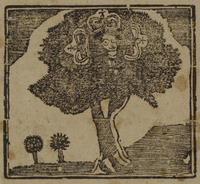 31465-10.jpg
