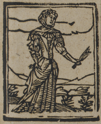 31468-20.jpg