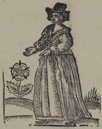 31470-20.jpg