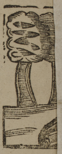 31485-20.jpg