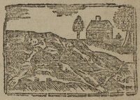 31489-20.jpg