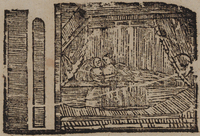 31662-10.jpg