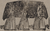 31665-10.jpg