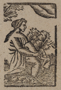 31700-10.jpg