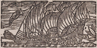 31718-20.jpg