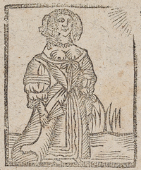 31731-20.jpg