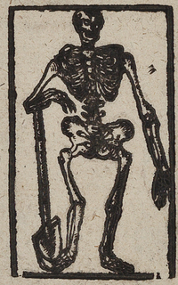 31748-10.jpg