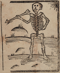 31752-20.jpg