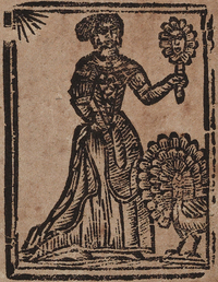 31753-20.jpg