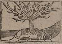 31758-20.jpg