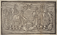 31800-20.jpg