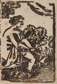 31825-20.jpg