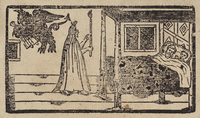 31836-20.jpg
