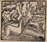 31870-10.jpg