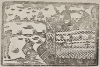 31898-10.jpg
