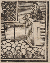 31911-20.jpg