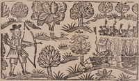 31914-10.jpg