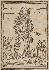 31927-10.jpg