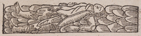 32036-10.jpg