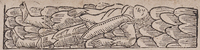 32038-40.jpg