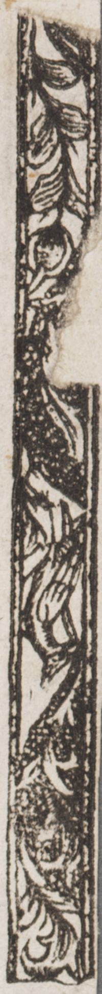 32082-60.jpg