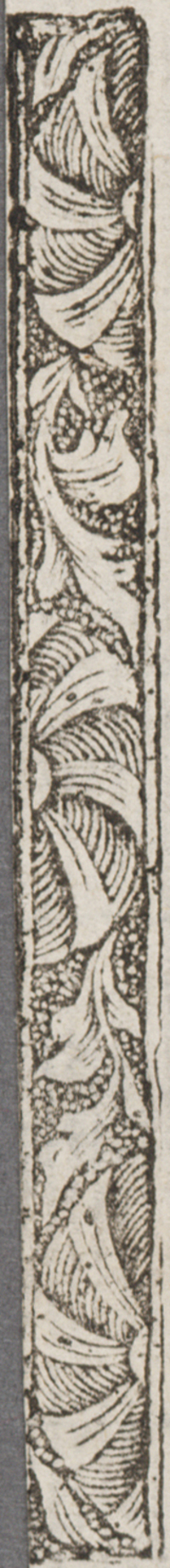 32083-15.jpg