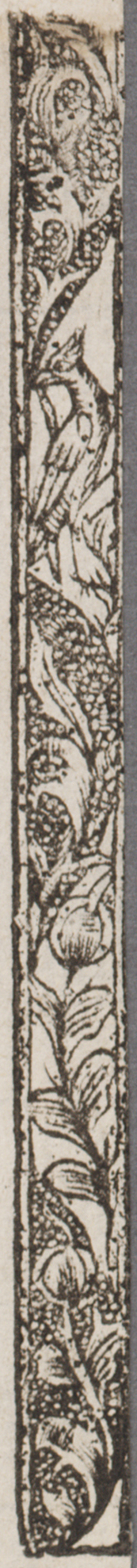 32083-50.jpg