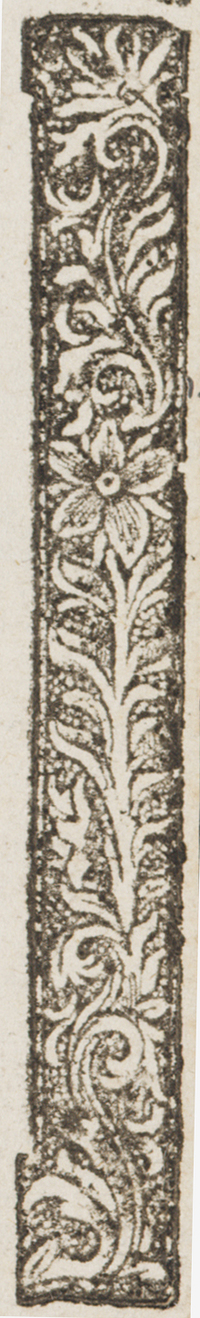 32091-190.jpg