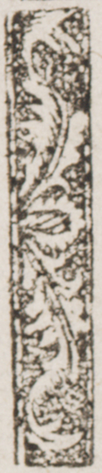 32091-70.jpg